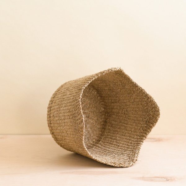 Scallop Basket - Image 10